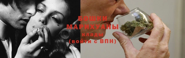 PSILOCYBIN Елабуга