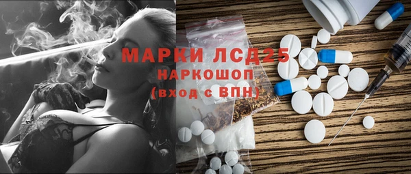 PSILOCYBIN Елабуга