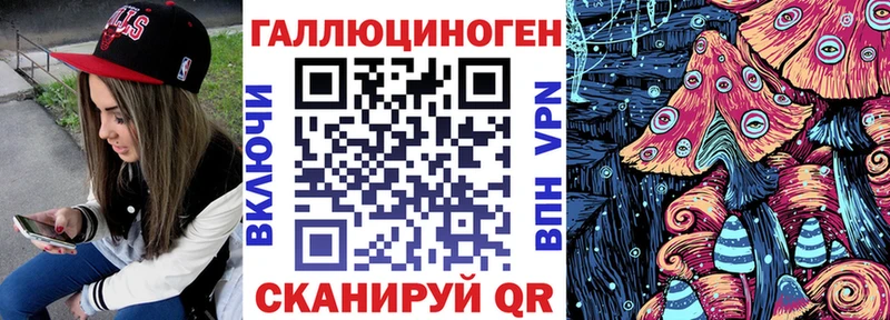 Галлюциногенные грибы Psilocybe  Камышлов 