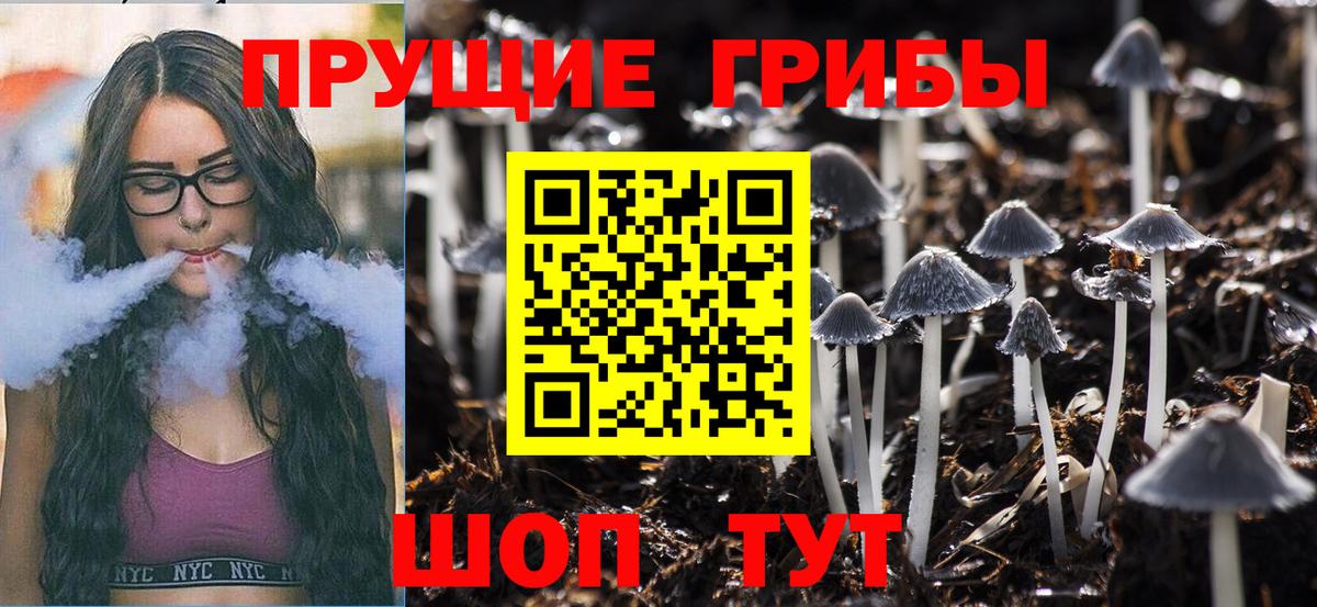 Галлюциногенные грибы Magic Shrooms  наркошоп  Камышлов  Вход с VPN 